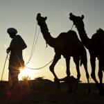 Targul de Camile din Pushkar, India