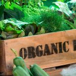 Produse bio. Cum sa le distingem pe piata?