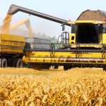 Top 10 cele mai profitabile afaceri agricole