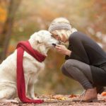 55 de citate despre animale pentru iubitorii de animale