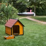 Sfaturi in alegerea custii de caine pentru catei de talie medie