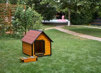 Sfaturi in alegerea custii de caine pentru catei de talie medie