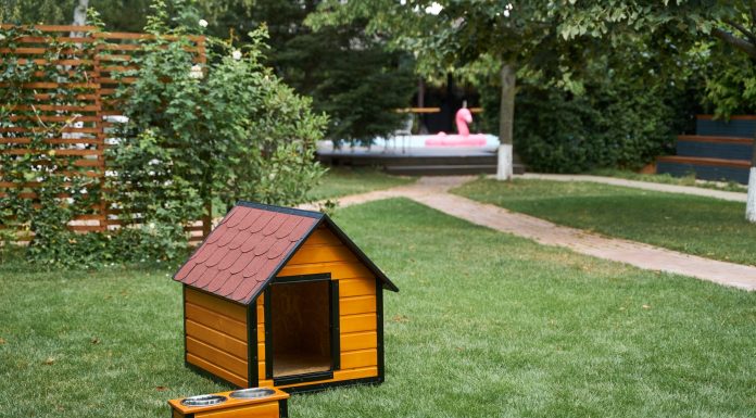 Sfaturi in alegerea custii de caine pentru catei de talie medie